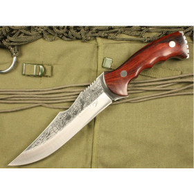 OEM DAONU SCORPION KING 5572 FIXED BLADE KNIFE UDTEK00580