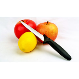 Stainless steel fruit knife plastic handle paring knife UD18008