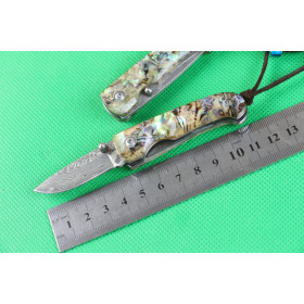 Damascus Awabi Abalone handle pocket knife UD402101