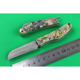  Abalone VG10 Damascus Little Razorback no lock knife UD402134