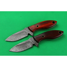 The emperor wingceltis American Damascus collection knife UD402164