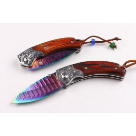 Treasures Damascus folding knife with colorful Titanium surface UD404412
