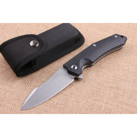 Poison wolf 9CR19MOV blade material folding knife with g10 handle UD404519