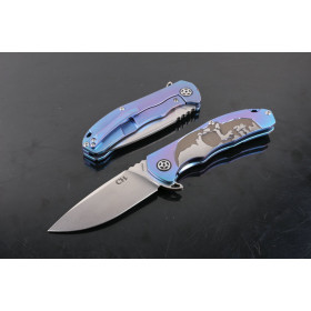 CH3504 S35VN blade material Skull head blue Titanium handle folding knife UD404970